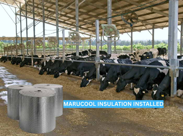 XLPE Insulation Poultry, Dairy and Farm Structures